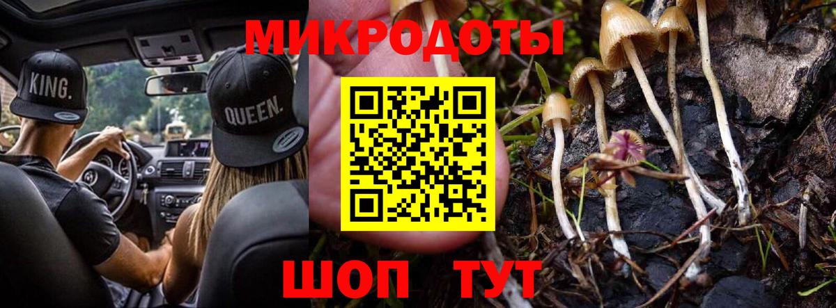 Медногорск  Галлюциногенные грибы MAGIC MUSHROOMS  Вход с VPN 