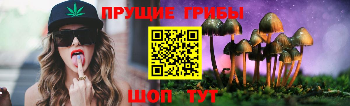 Псилоцибиновые грибы мицелий Медногорск